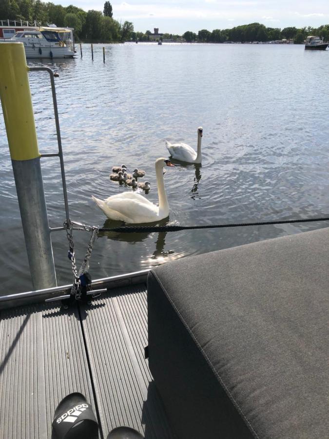 Basalt Lodge Am Lehnitzsee オラニエンブルク エクステリア 写真
